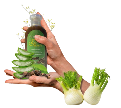 VitalBloom Herbal Shampoo -VitalBloom™ Premium Herbal Shampoo – Anti-Hairfall & Scalp Detox (200ml)