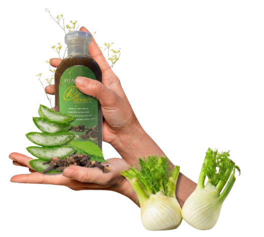 VitalBloom Herbal Shampoo -VitalBloom™ Premium Herbal Shampoo – Anti-Hairfall & Scalp Detox (200ml)